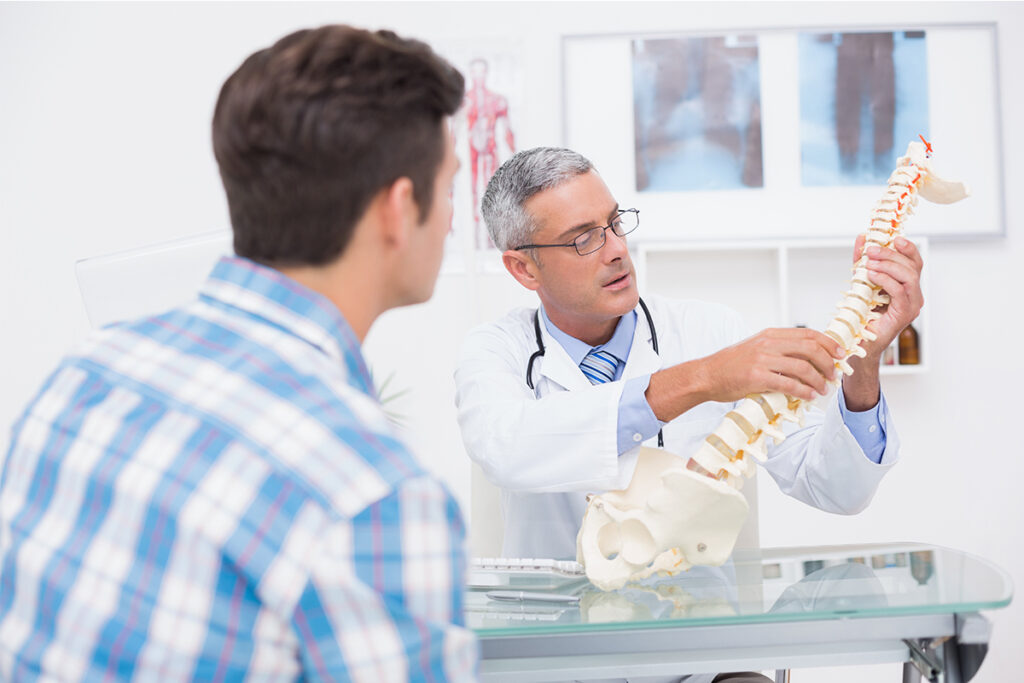 Doctor showing a patient a replica of the human spine